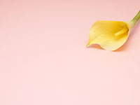 商品イメージ写真3