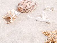 商品イメージ写真1