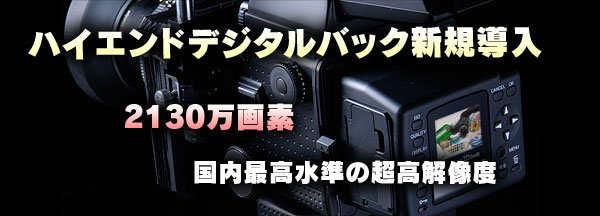 ハイエンドデジタルバッグ