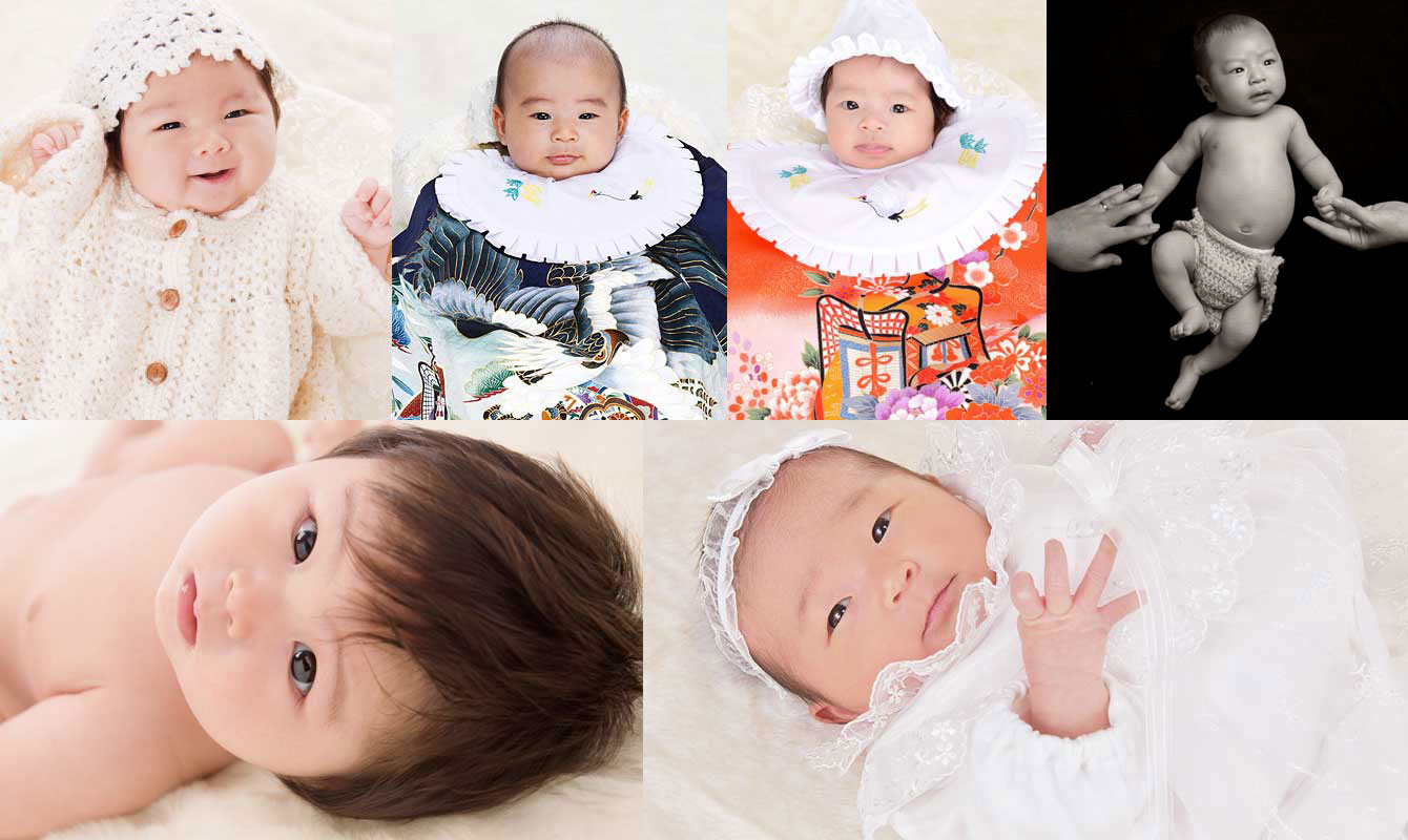 会社案内プラン